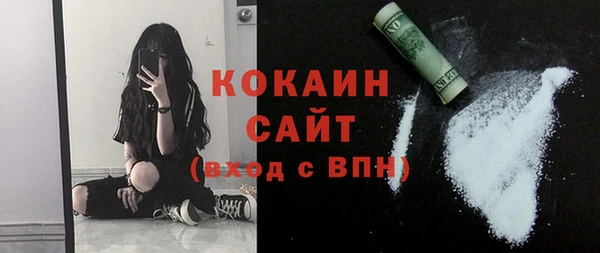 хмурый Дмитриев