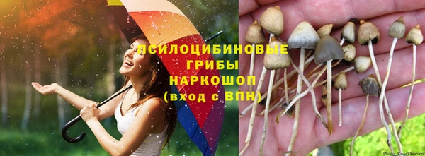 хмурый Дмитриев
