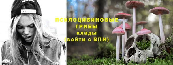 спиды Дмитров