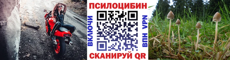 Псилоцибиновые грибы ЛСД  Купить закладки  Зима 